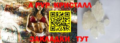 амф Донской