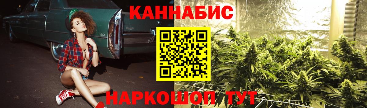 Канабис планчик Майкоп